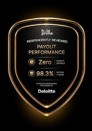 Review Deloitte